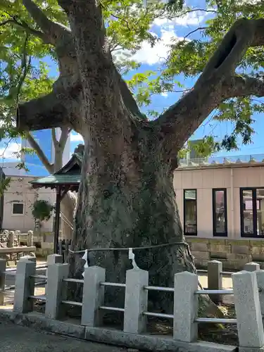 阿邪訶根神社(福島県)