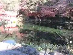 富士山本宮浅間大社の庭園