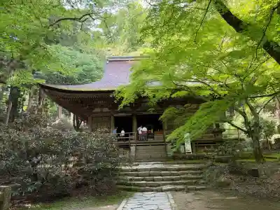 室生寺の{uncategorized: "未分類", other: "その他", undefined: "問題あり", building: "その他建物", grave: "お墓", sacred_gate: "鳥居", guardian: "狛犬", statue: "像", buddha: "仏像", history: "歴史", nature: "自然", garden: "庭園", animal: "動物", pagoda: "塔", temizu: "手水舎", mountain_gate: "山門・神門", sanctuary: "本殿・本堂", subordinate: "末社・摂社", art: "芸術", scenery: "景色", jizo: "地蔵", ema: "絵馬", goshuin: "御朱印", omikuji: "おみくじ", items: "授与品その他", amulet: "お守り", goshuincho: "御朱印帳", eats: "食事", festival: "お祭り", votive_dance: "神楽", shichigosan: "七五三参", wedding: "結婚式", experience: "体験その他", initially: "初詣", around: "周辺", anti_infection: "感染症対策"}