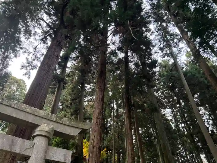 大宮温泉神社の自然