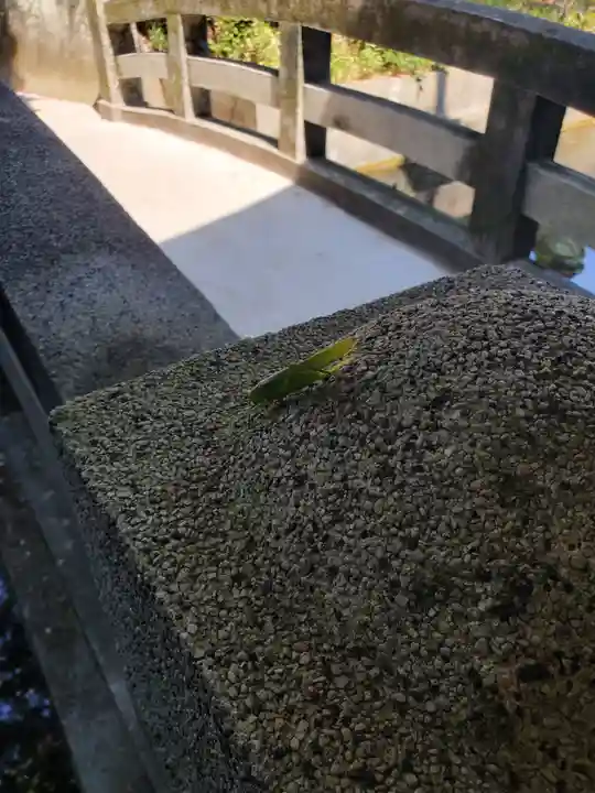 白蛇辨財天の周辺