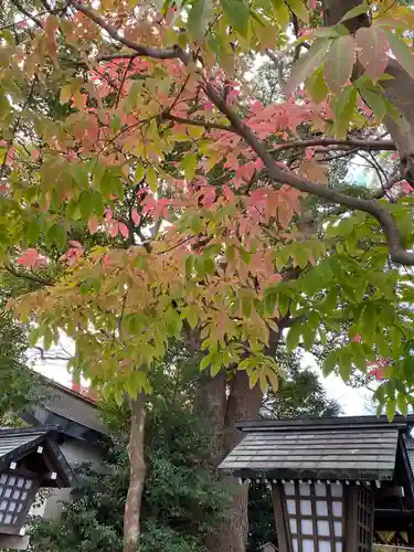伊勢山皇大神宮の自然