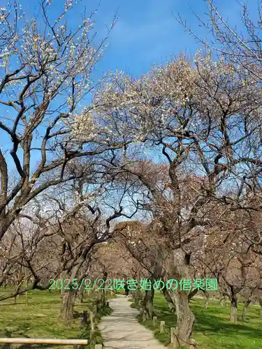 常磐神社(茨城県)