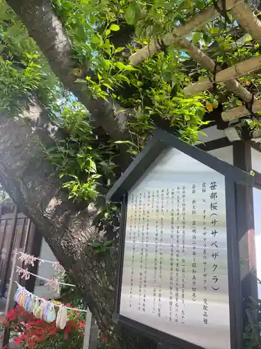 感通寺(東京都)