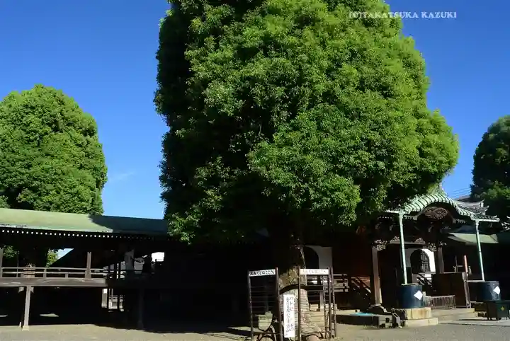 題経寺(柴又帝釈天)(東京都)