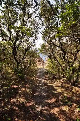 龍宮神社(高知県)