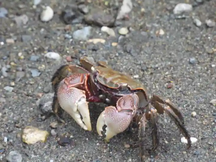 了仙寺(静岡県)