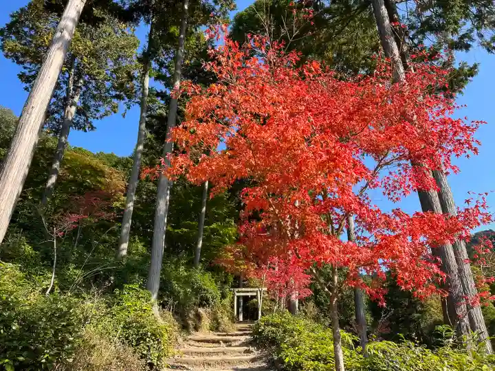 圓光寺(京都府)