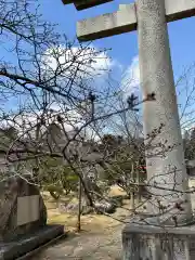 茨城縣護國神社(茨城県)