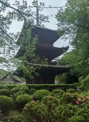 園城寺（三井寺）(滋賀県)