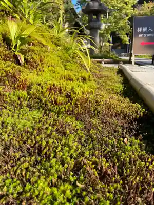西来院(京都府)