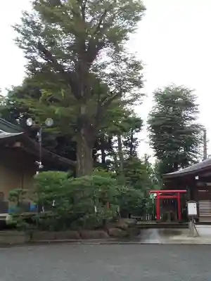 井草八幡宮のその他建物