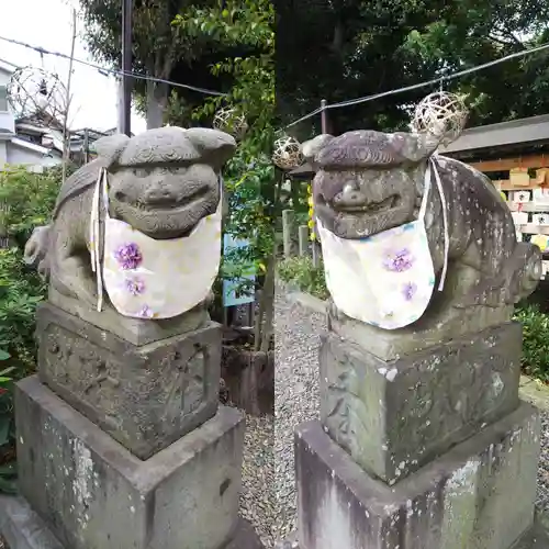 菊田神社の狛犬