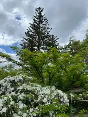 普門院（文知摺観音）(福島県)