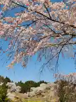 上石不動堂の自然