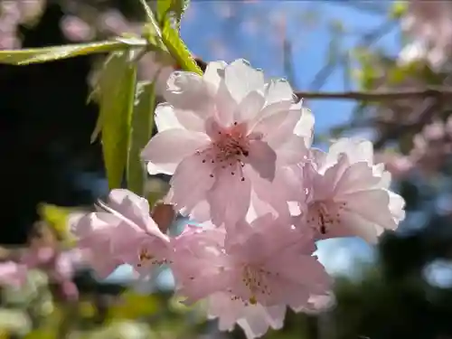 東円寺(山梨県)