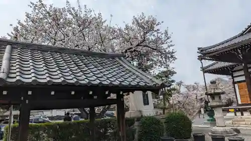 妙蓮寺(京都府)