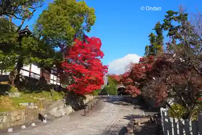 くろ谷 金戒光明寺(京都府)