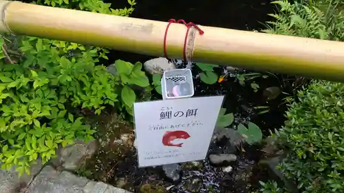 霊源院(京都府)