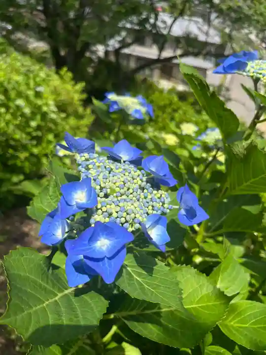 金蛇水神社(宮城県)