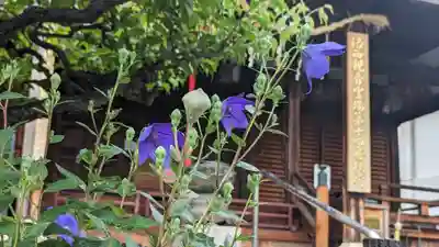 勝龍寺(京都府)