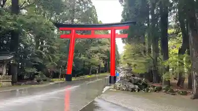 霧島神宮の鳥居