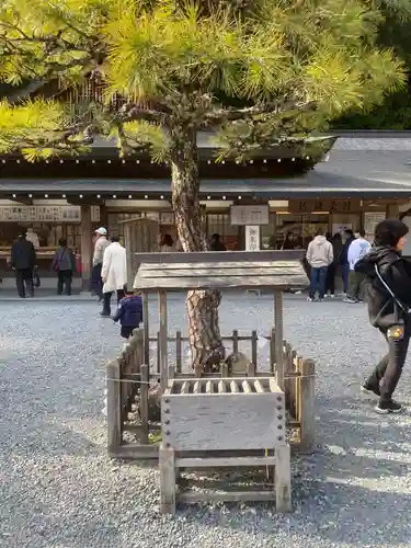 小國神社(静岡県)