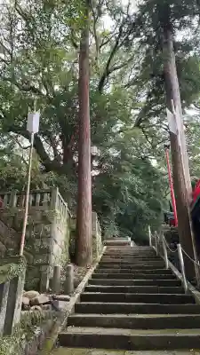 八幡朝見神社(大分県)