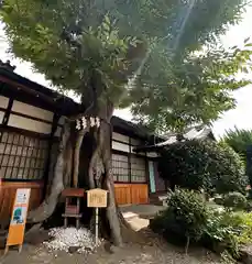 三輪恵比須神社(奈良県)