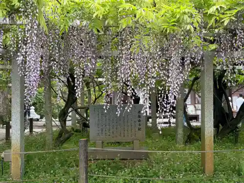 三大神社の{uncategorized: "未分類", other: "その他", undefined: "問題あり", building: "その他建物", grave: "お墓", sacred_gate: "鳥居", guardian: "狛犬", statue: "像", buddha: "仏像", history: "歴史", nature: "自然", garden: "庭園", animal: "動物", pagoda: "塔", temizu: "手水舎", mountain_gate: "山門・神門", sanctuary: "本殿・本堂", subordinate: "末社・摂社", art: "芸術", scenery: "景色", jizo: "地蔵", ema: "絵馬", goshuin: "御朱印", omikuji: "おみくじ", items: "授与品その他", amulet: "お守り", goshuincho: "御朱印帳", eats: "食事", festival: "お祭り", votive_dance: "神楽", shichigosan: "七五三参", wedding: "結婚式", experience: "体験その他", initially: "初詣", around: "周辺", anti_infection: "感染症対策"}