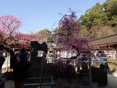 太宰府天満宮のその他建物