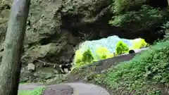 上色見熊野座神社の自然