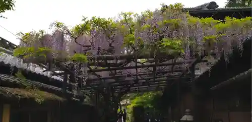 長岡天満宮の庭園