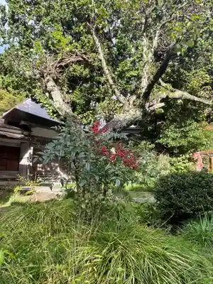 国上寺(新潟県)