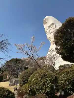 大船観音寺の{uncategorized: "未分類", other: "その他", undefined: "問題あり", building: "その他建物", grave: "お墓", sacred_gate: "鳥居", guardian: "狛犬", statue: "像", buddha: "仏像", history: "歴史", nature: "自然", garden: "庭園", animal: "動物", pagoda: "塔", temizu: "手水舎", mountain_gate: "山門・神門", sanctuary: "本殿・本堂", subordinate: "末社・摂社", art: "芸術", scenery: "景色", jizo: "地蔵", ema: "絵馬", goshuin: "御朱印", omikuji: "おみくじ", items: "授与品その他", amulet: "お守り", goshuincho: "御朱印帳", eats: "食事", festival: "お祭り", votive_dance: "神楽", shichigosan: "七五三参", wedding: "結婚式", experience: "体験その他", initially: "初詣", around: "周辺", anti_infection: "感染症対策"}