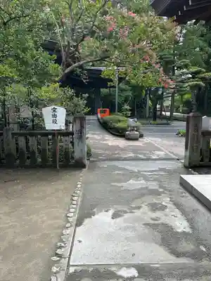 武田神社(山梨県)