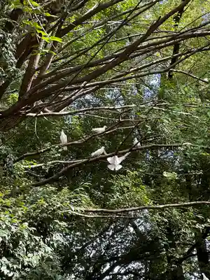 靖國神社(東京都)