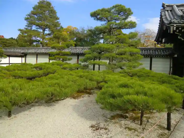 仁和寺(京都府)
