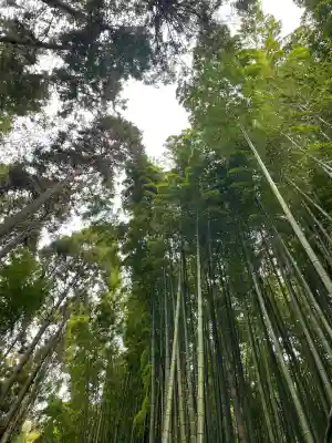 武雄神社(佐賀県)