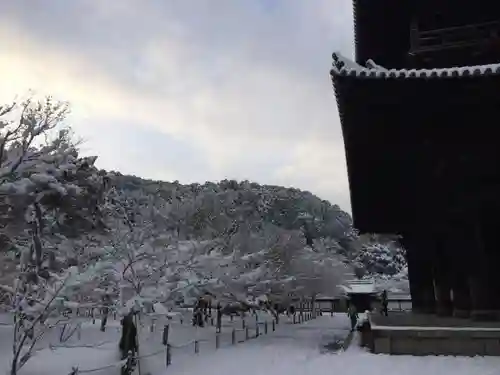 南禅寺の建物その他