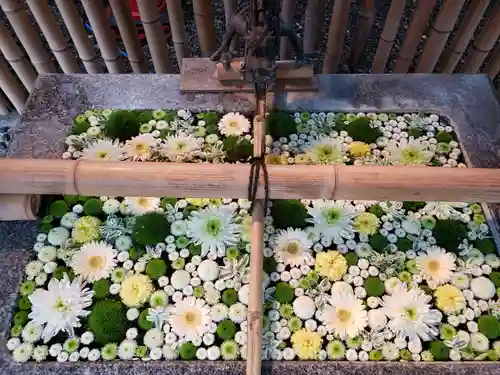 高円寺氷川神社の手水