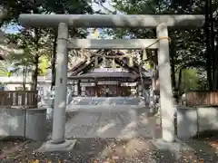 新琴似神社の鳥居