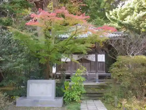 安國論寺（安国論寺）の本殿・本堂
