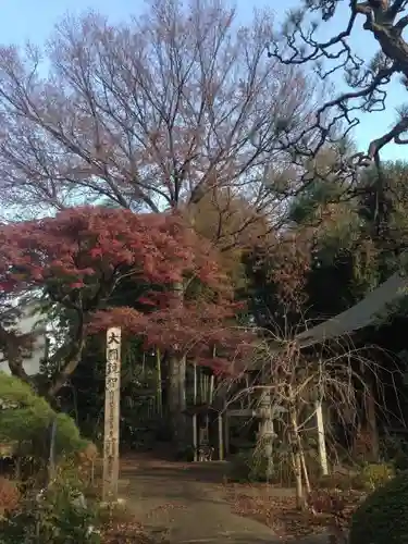 長泉寺の自然