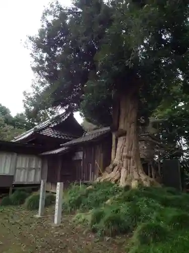 神田山延命院の自然