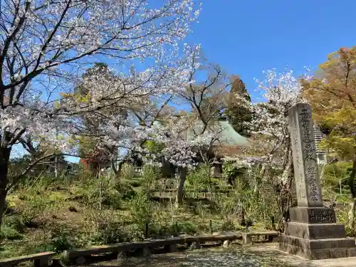 本土寺(千葉県)