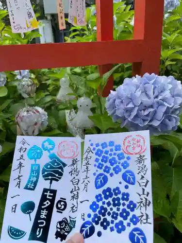 白山神社の御朱印