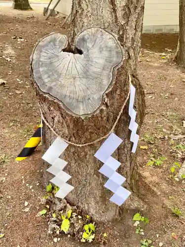 大谷地神社の自然