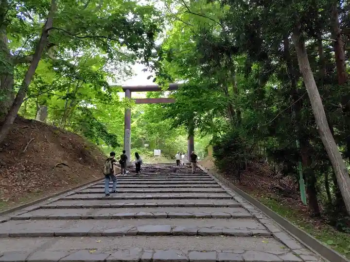 北海道神宮の鳥居