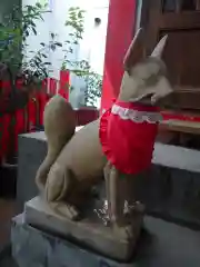 讃岐小白稲荷神社の狛犬